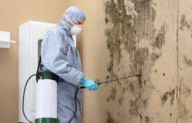 Best Real Estate Mold Inspection  in Emigsville, PA